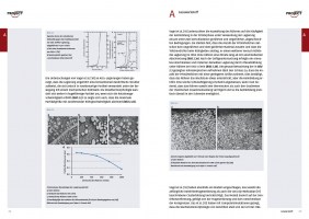 Leseprobe aus dem Seminarhandbuch